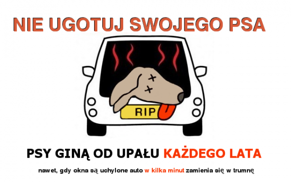 Lato w pełni - NIE UGOTUJ SWOJEGO PSA